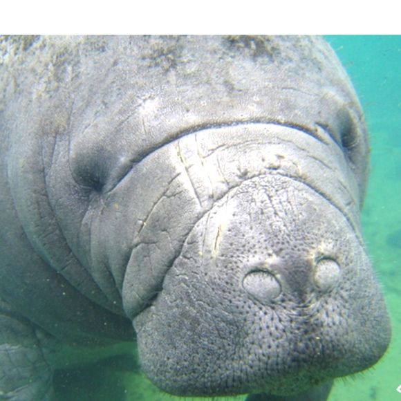 Meet your Posher, Kristee - Picture 6 of 7